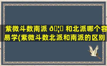 紫微斗数南派 🦈 和北派哪个容易学(紫微斗数北派和南派的区别)